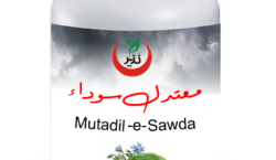 Mutadil-e-sodaa